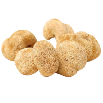 Їжовик гребінчастий (Lion&rsquo;s Mane)-пам'ять, концентрація, мозкова активність fun-fun фото