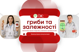🧠 Как функциональные грибы помогают при избавлении от зависимостей фото