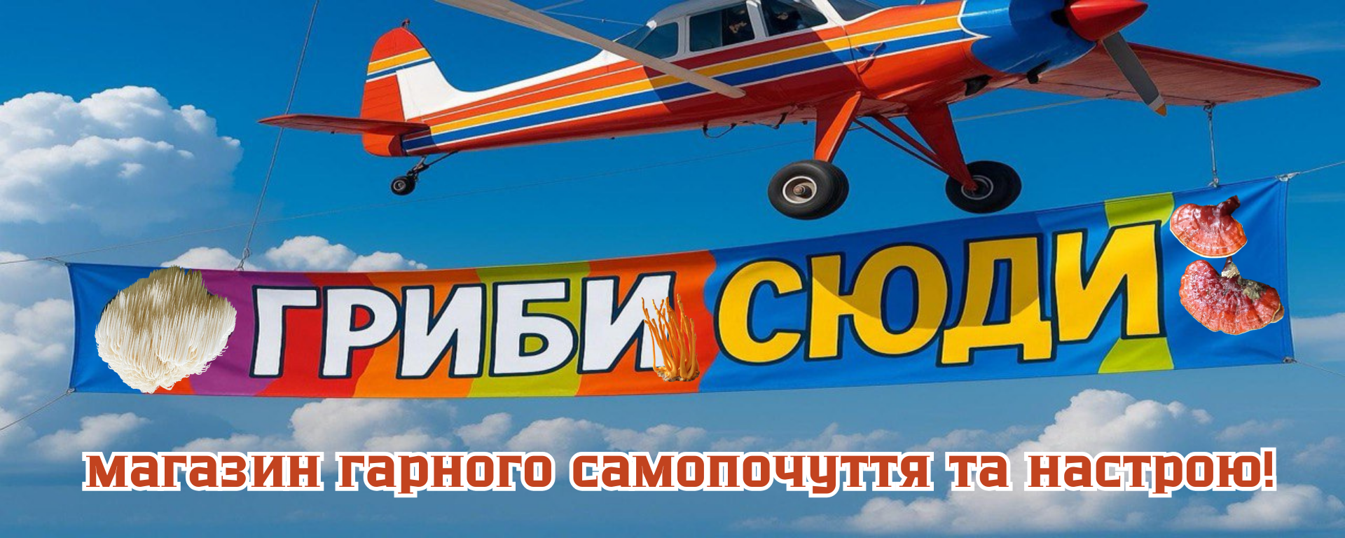 Функциональные грибы – Грибы решающие конкретные проблемы в самочувствии